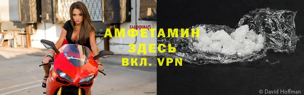 гидра Козловка