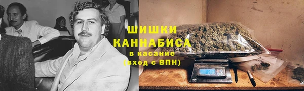 гидра Козловка