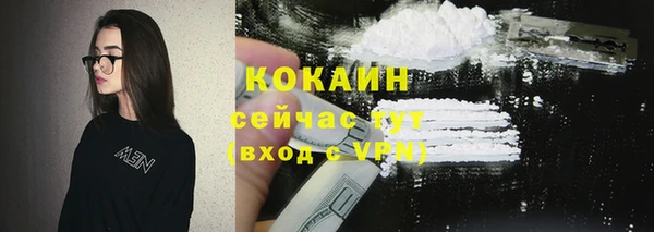 гидра Козловка
