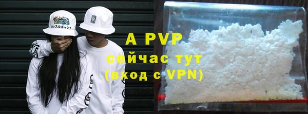 гидра Козловка