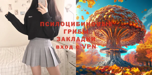 гидра Козловка