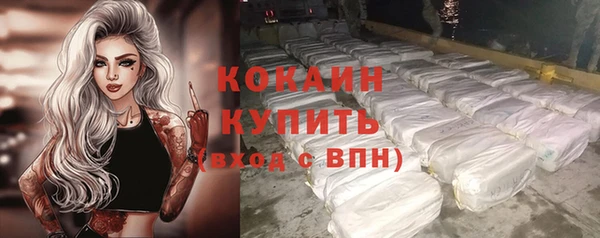 гидра Козловка