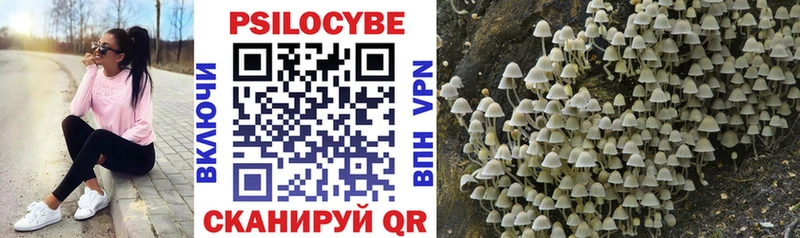 Псилоцибиновые грибы прущие грибы  Купить где  Туран 